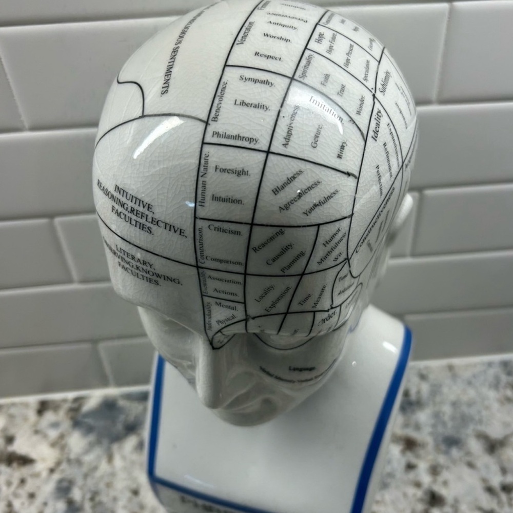 Porcelain L.N. Fowler Phrenology Psychology Head Bust 12” - Picture 2 of 6